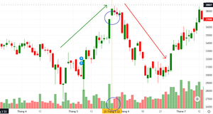 GIẢI MÃ BÍ MẬT CỦA GAP(GIÁ MỞ CỬA) - LẦN THEO DẤU VẾT DÒNG TIỀN TRƯỚC CẢ THỊ TRƯỜNG
