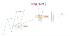 Vén Màn Tâm Lý Big Boy Forex: Cách "Cá Mập" Điều Khiển Cuộc Chơi